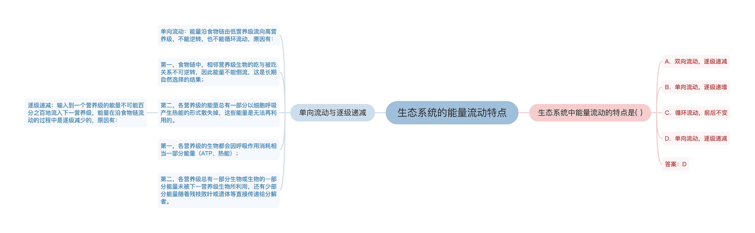 生态系统的能量流动特点