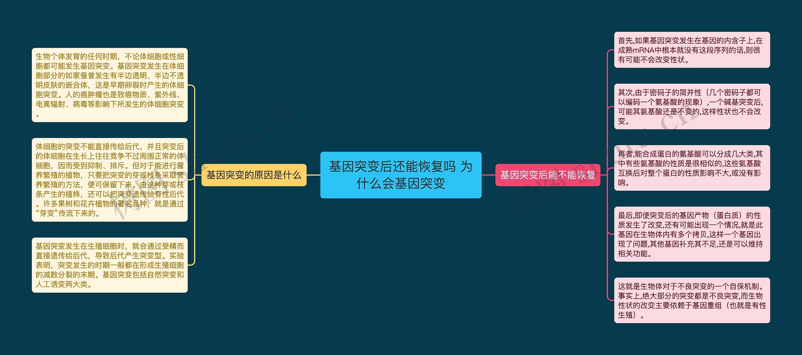 基因突变后还能恢复吗 为什么会基因突变思维导图