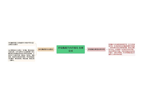 呼吸酶属于内环境吗 在哪合成