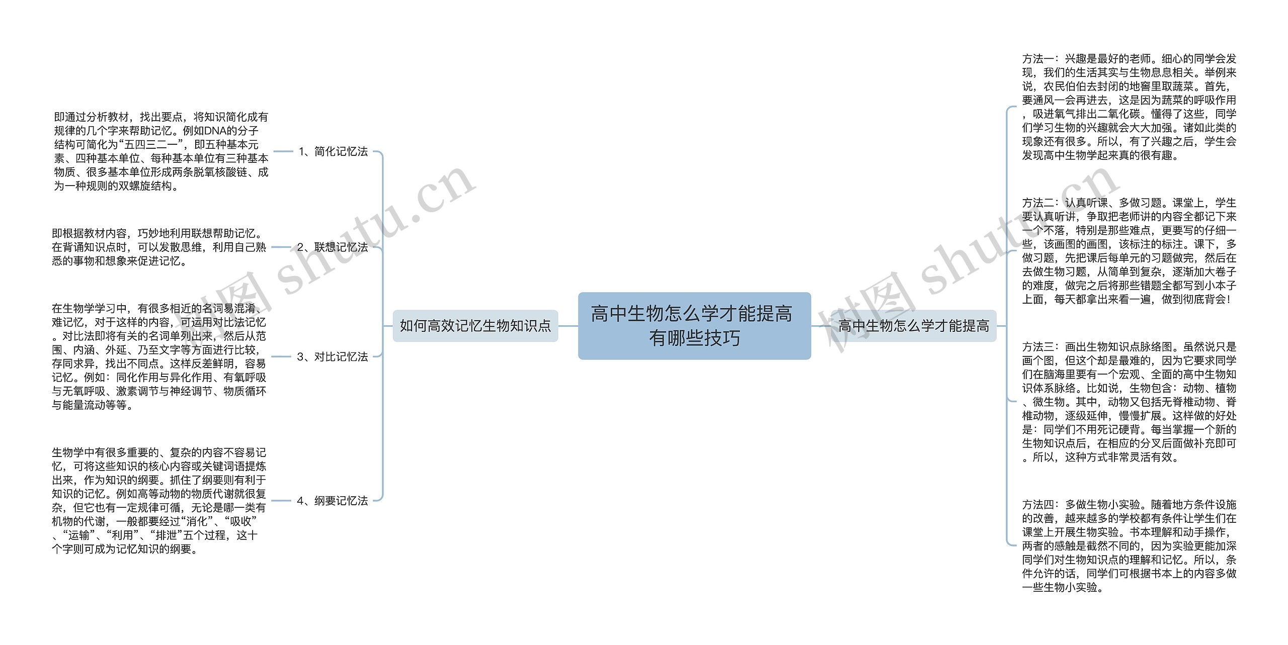 高中生物怎么学才能提高 有哪些技巧思维导图