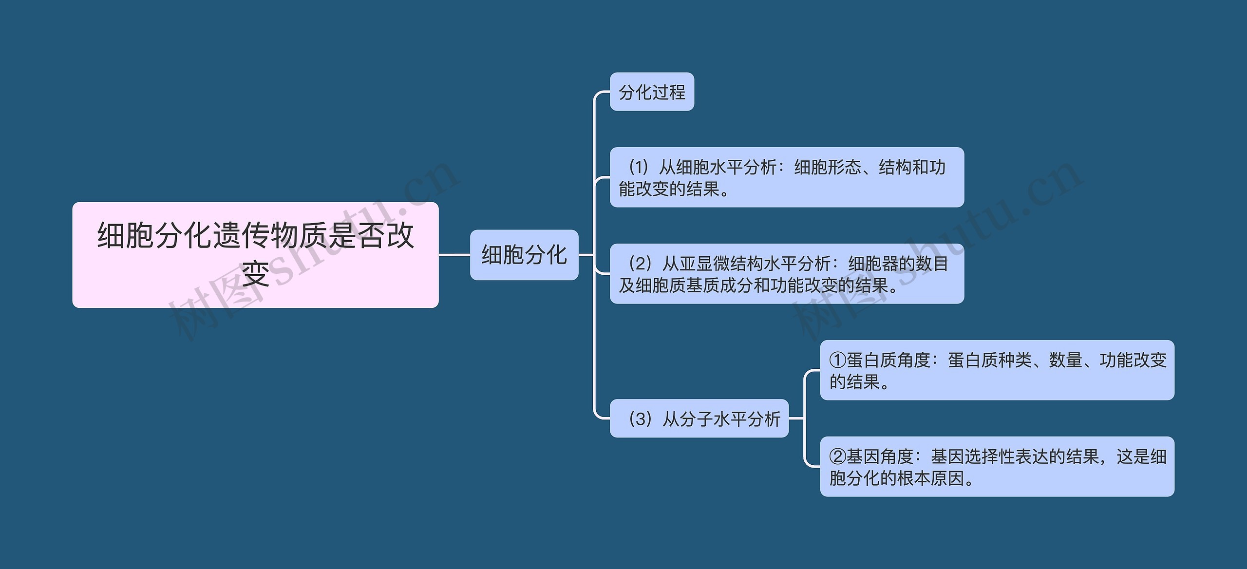 细胞分化遗传物质是否改变