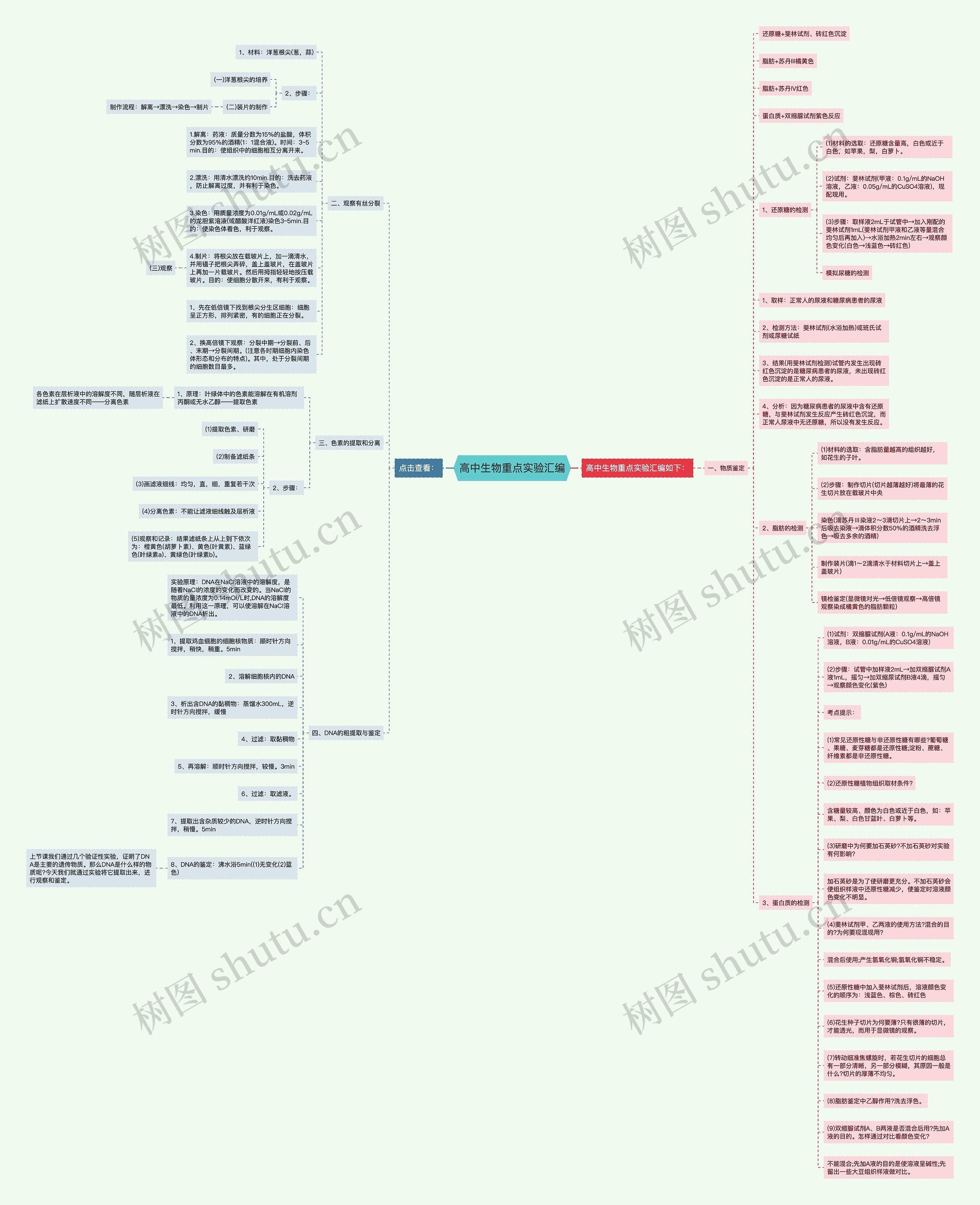 高中生物重点实验汇编思维导图