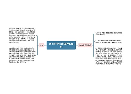 dna分子的结构是什么结构