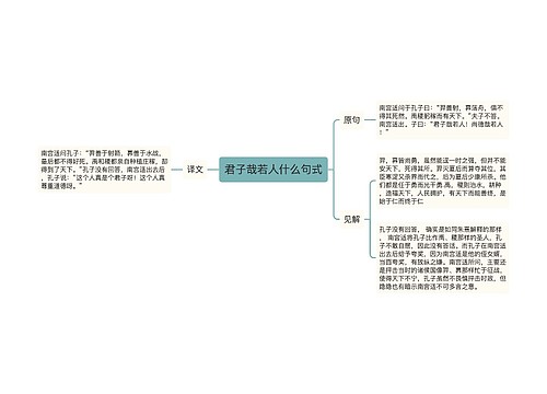 君子哉若人什么句式