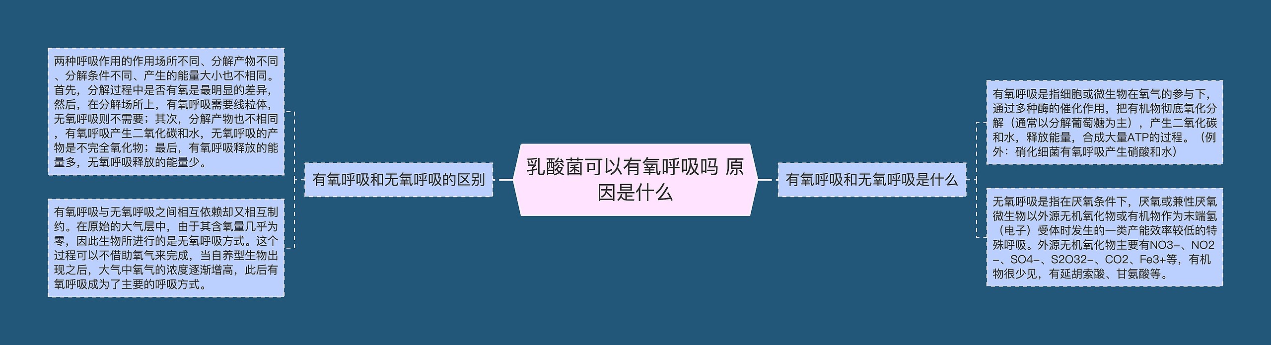 乳酸菌可以有氧呼吸吗 原因是什么思维导图