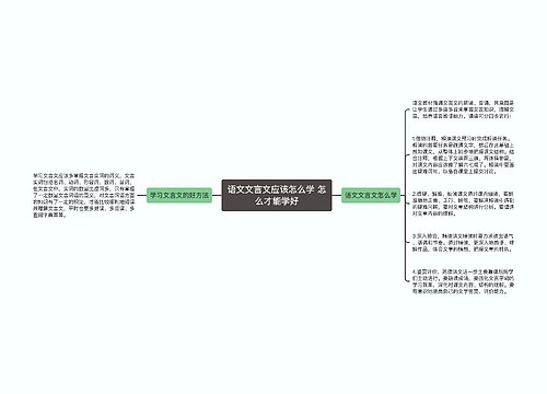 语文文言文应该怎么学 怎么才能学好