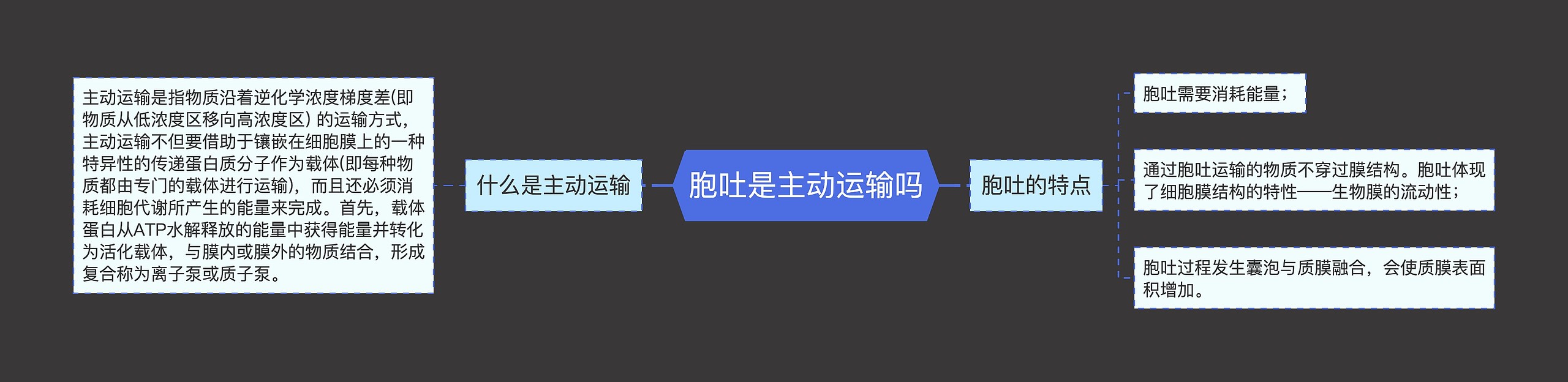 胞吐是主动运输吗思维导图