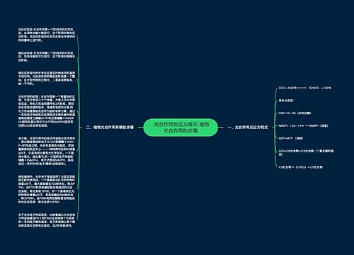  光合作用反应方程式 植物光合作用的步骤