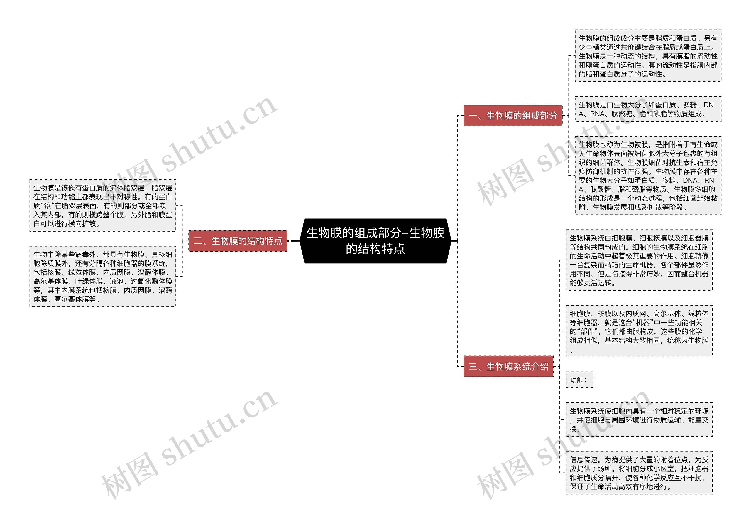 生物膜的组成部分-生物膜的结构特点思维导图