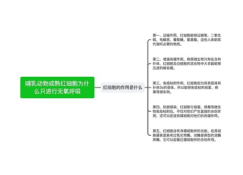 哺乳动物成熟红细胞为什么只进行无氧呼吸