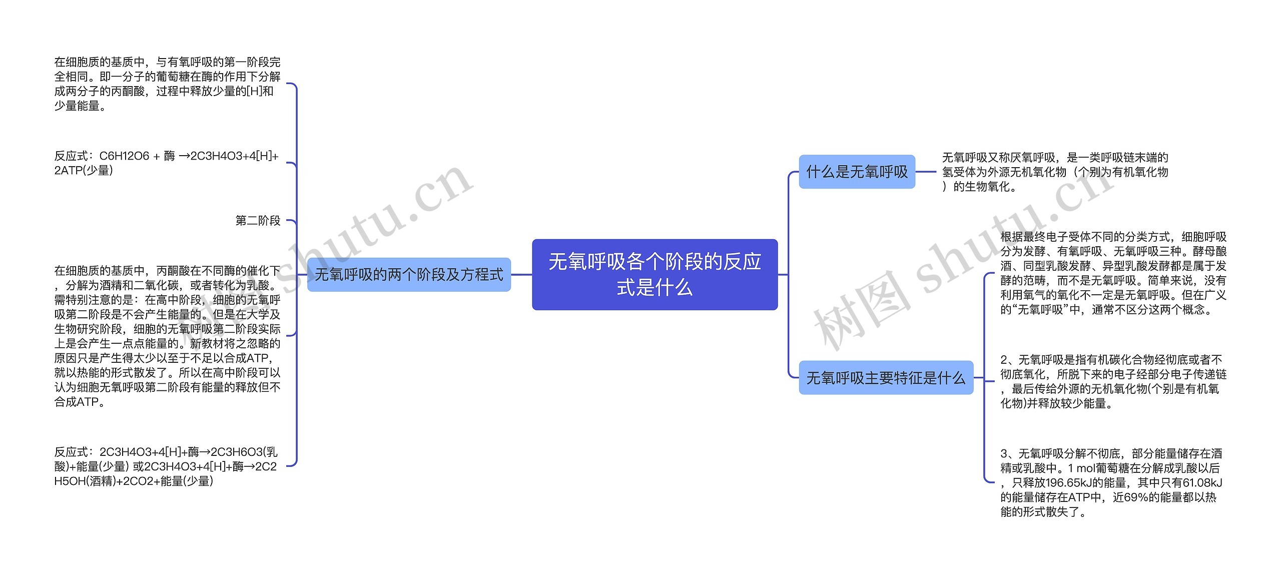 无氧呼吸各个阶段的反应式是什么思维导图