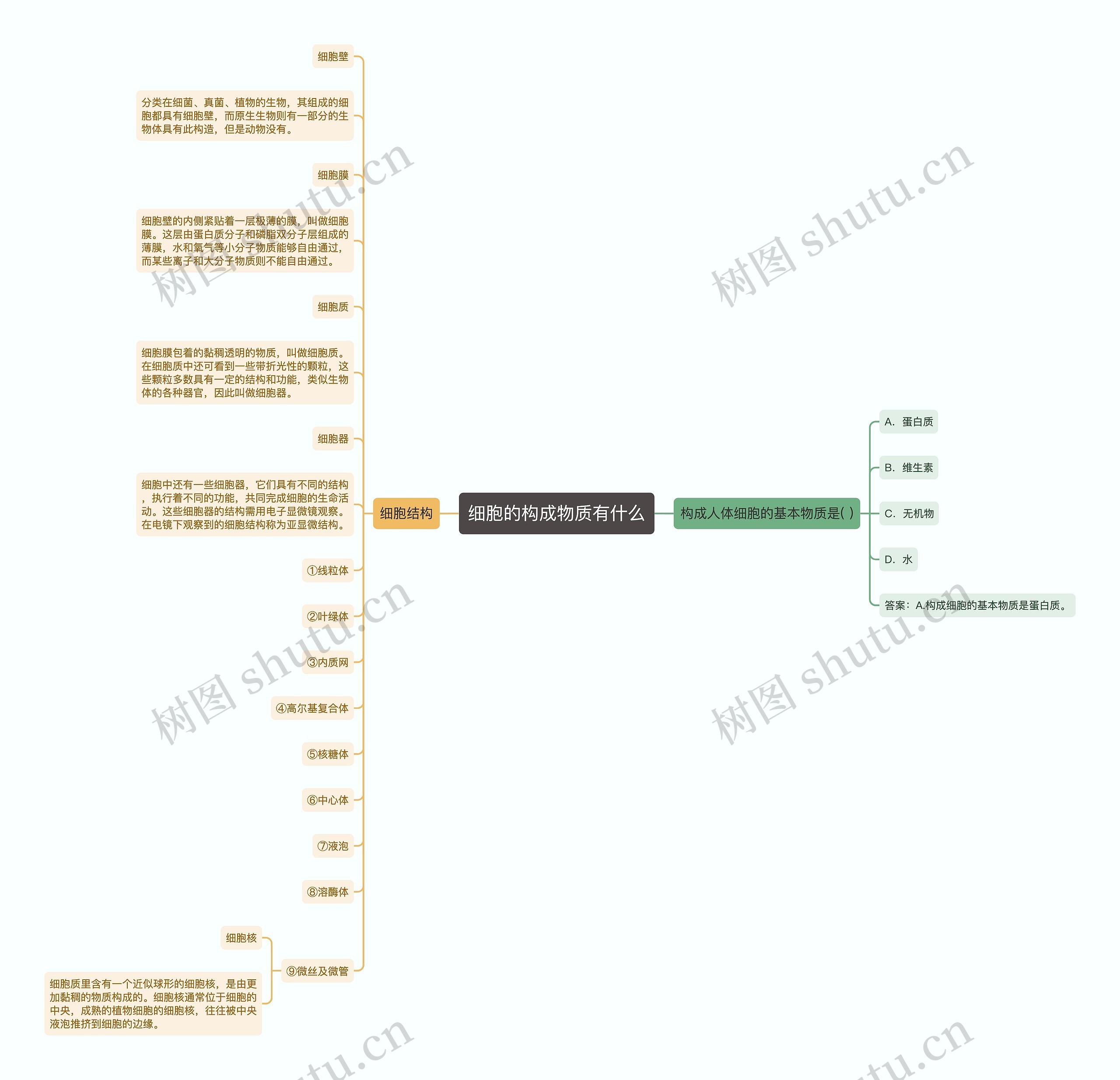 细胞的构成物质有什么思维导图