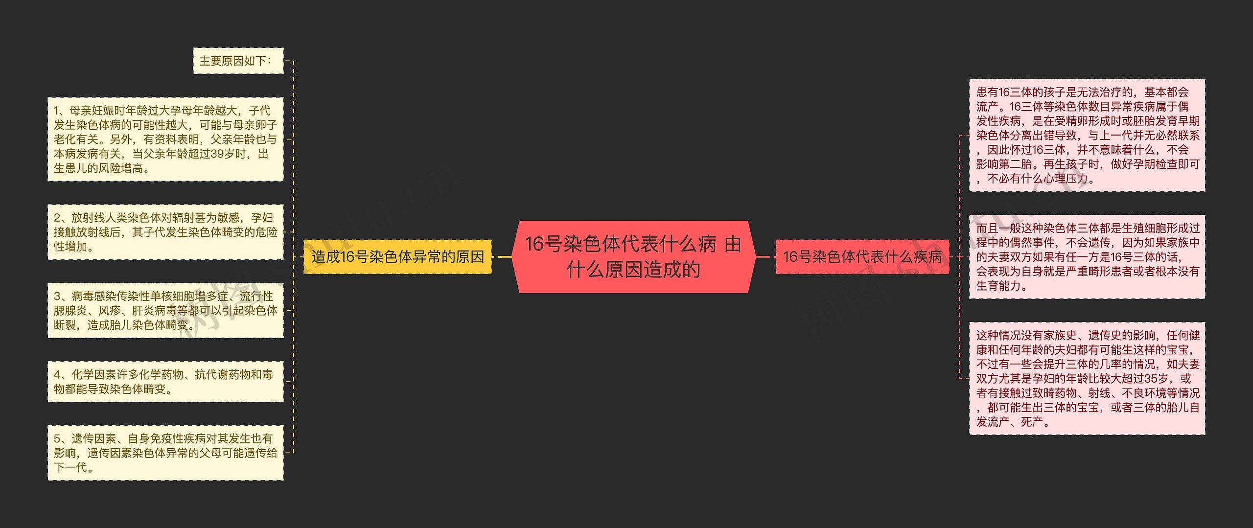 16号染色体代表什么病 由什么原因造成的思维导图