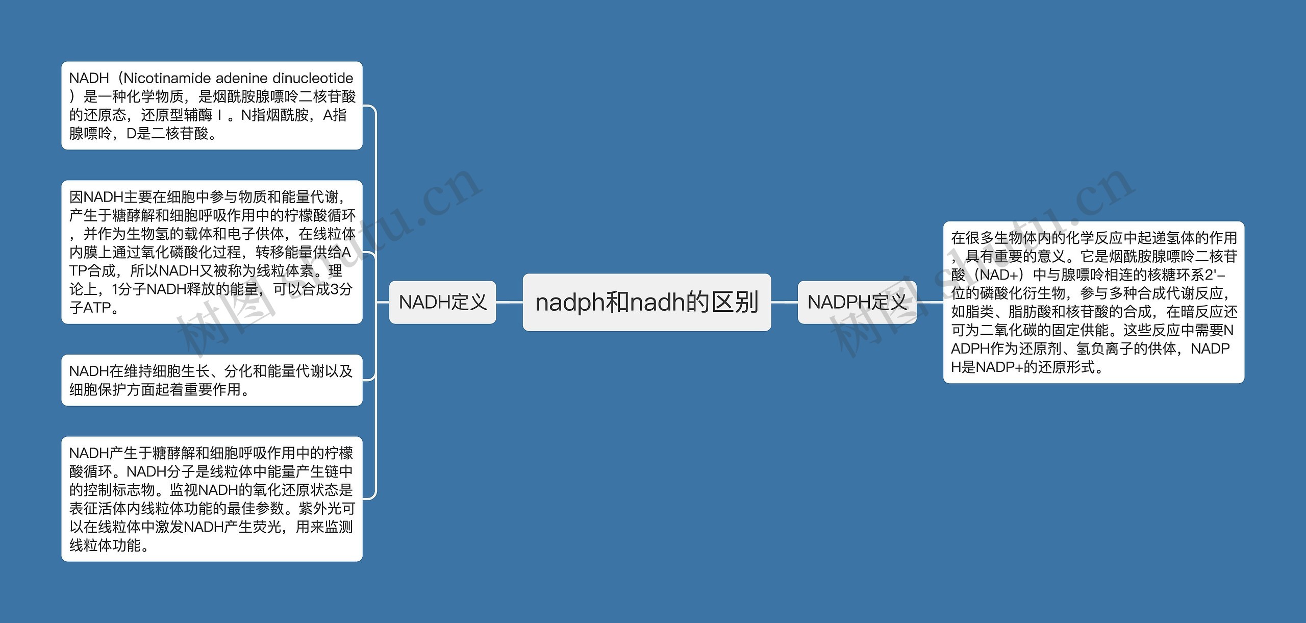 nadph和nadh的区别