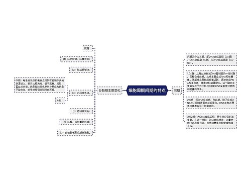 细胞周期间期的特点