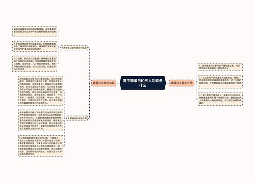 高中糖蛋白的三大功能是什么