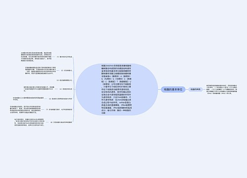 核酸的基本单位