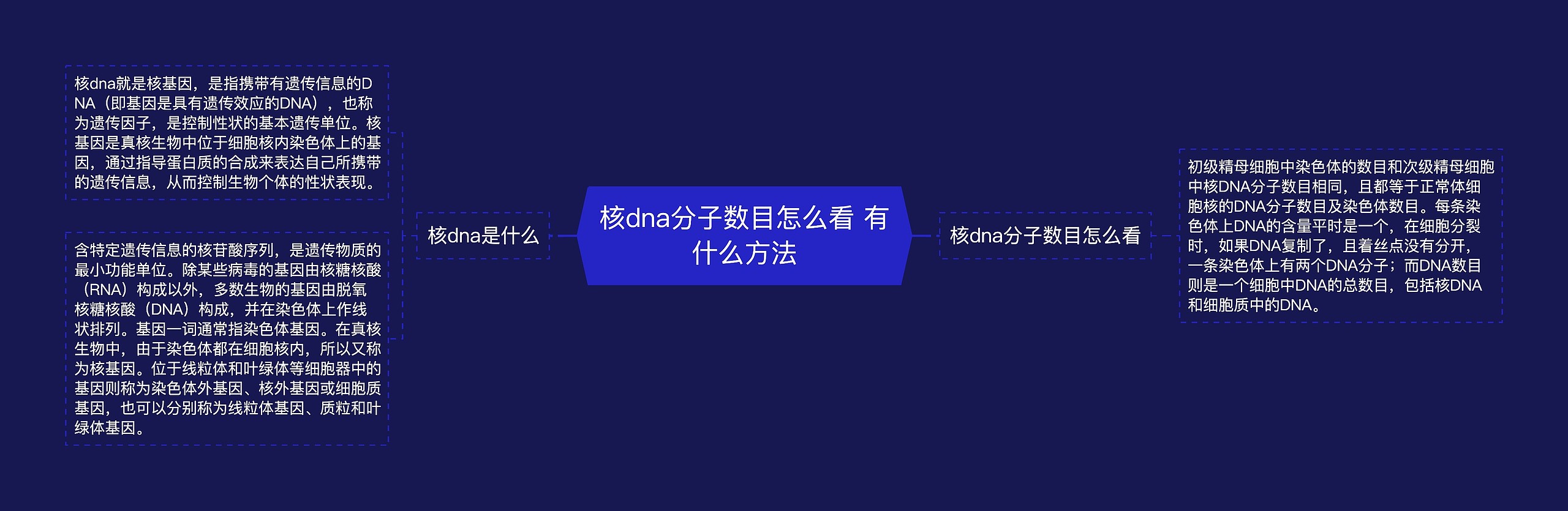 核dna分子数目怎么看 有什么方法