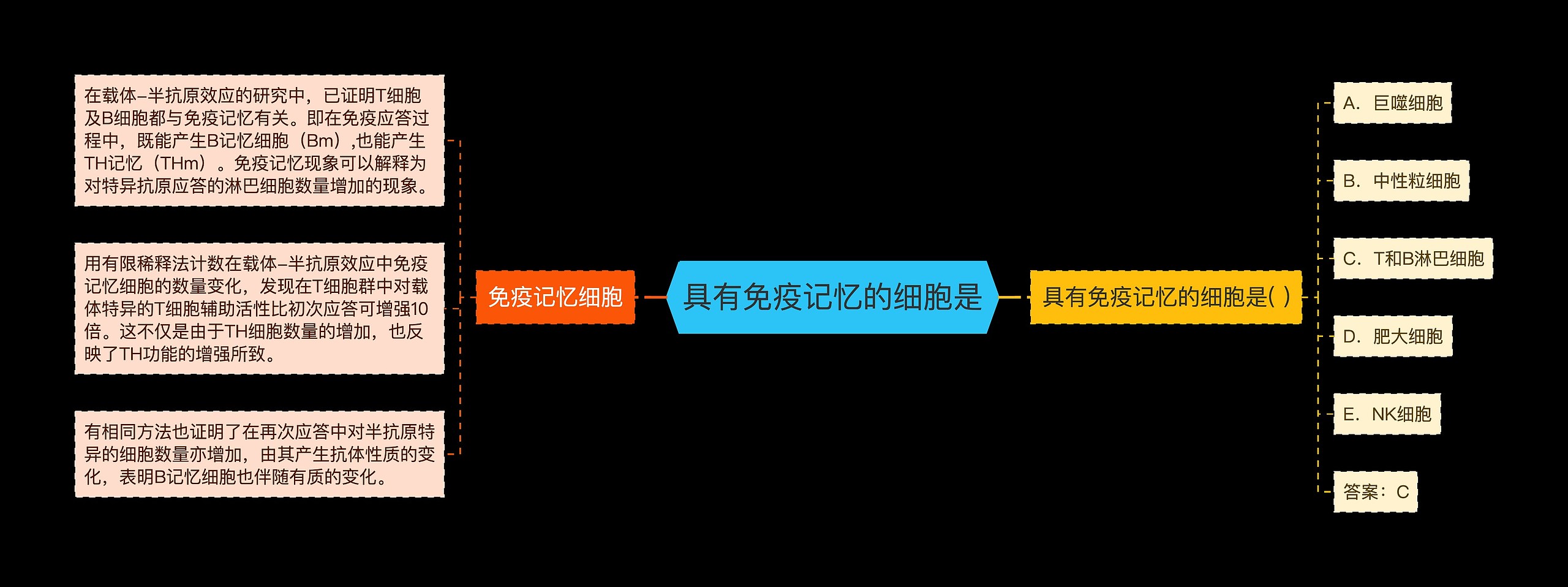 具有免疫记忆的细胞是思维导图