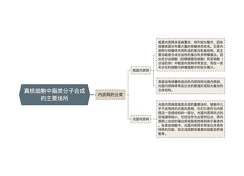 真核细胞中脂类分子合成的主要场所