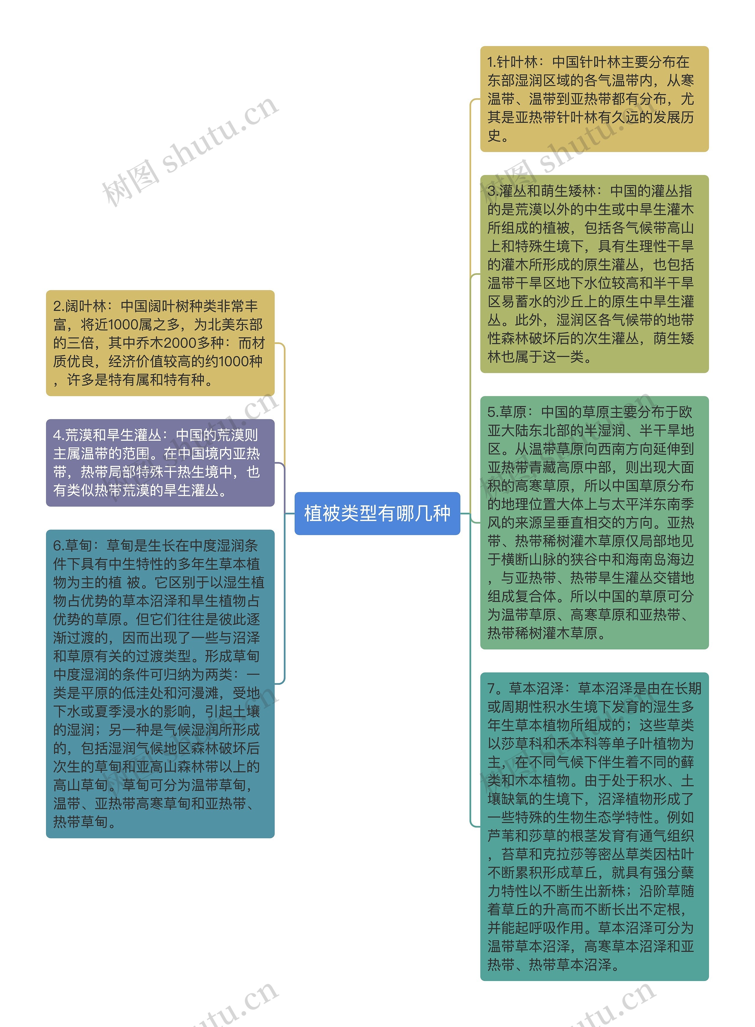 植被类型有哪几种思维导图