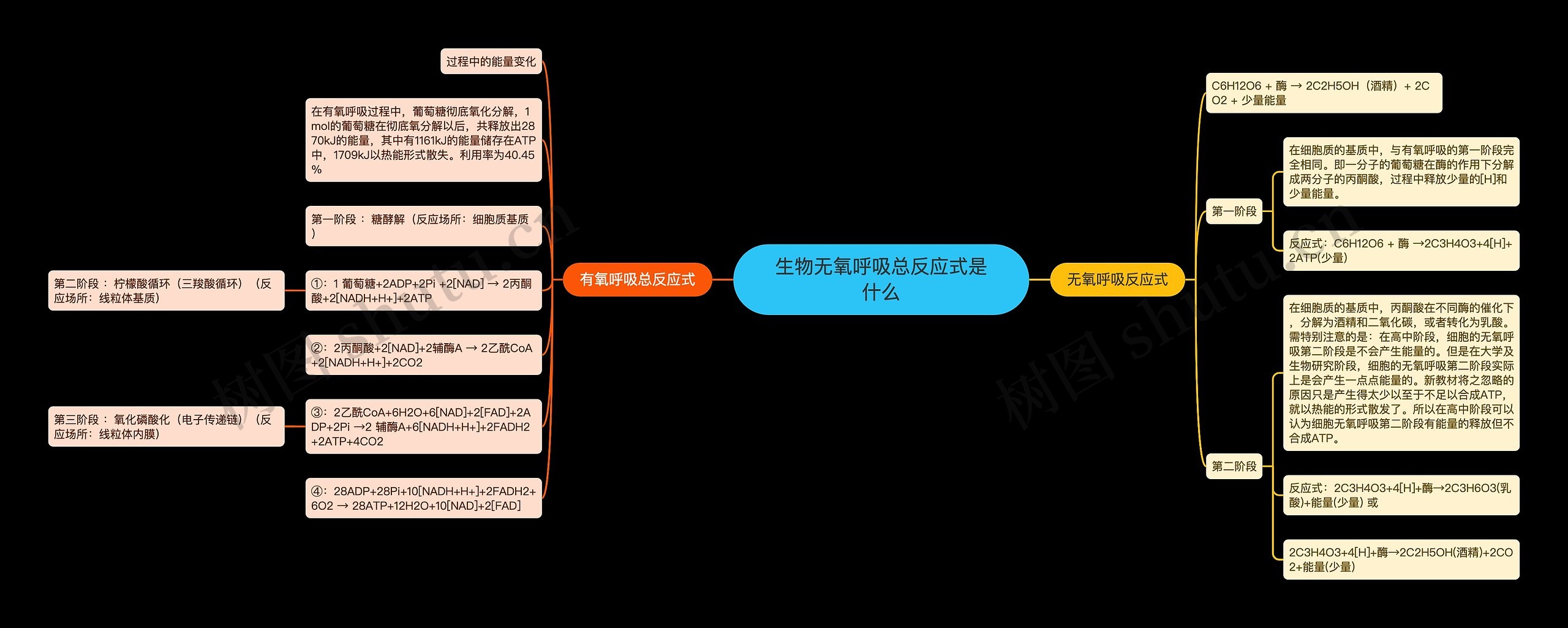 生物无氧呼吸总反应式是什么