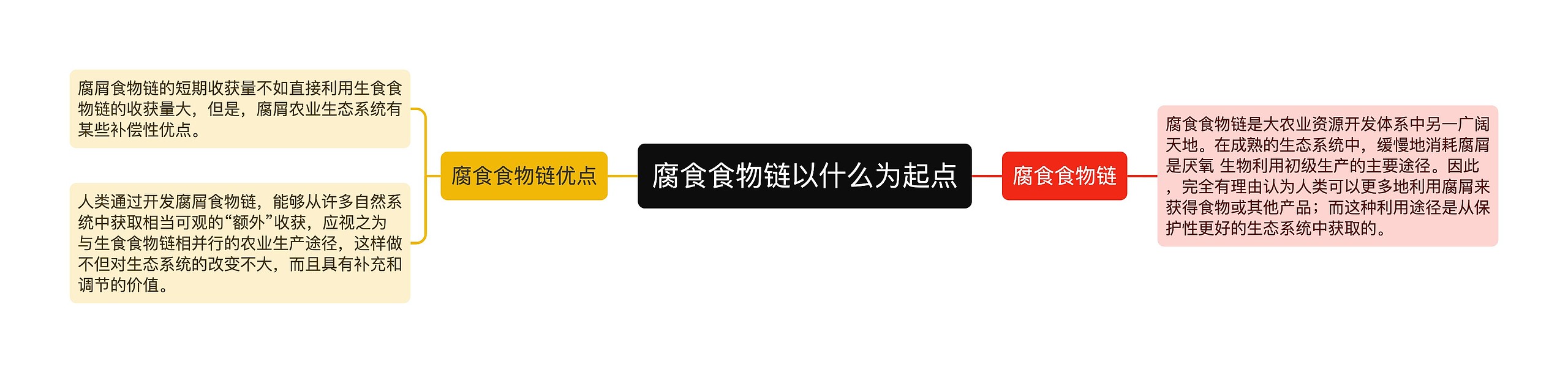 腐食食物链以什么为起点思维导图