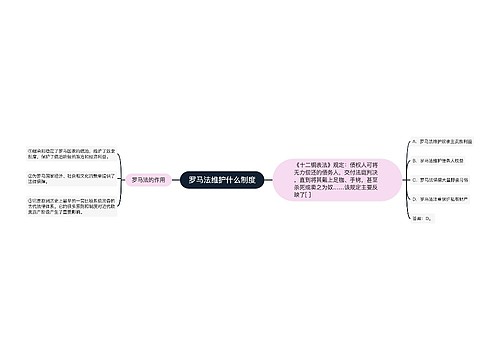 罗马法维护什么制度