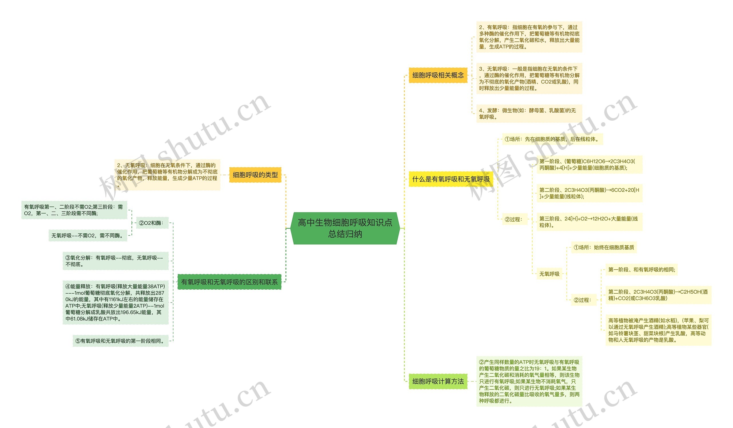 高中生物细胞呼吸知识点总结归纳