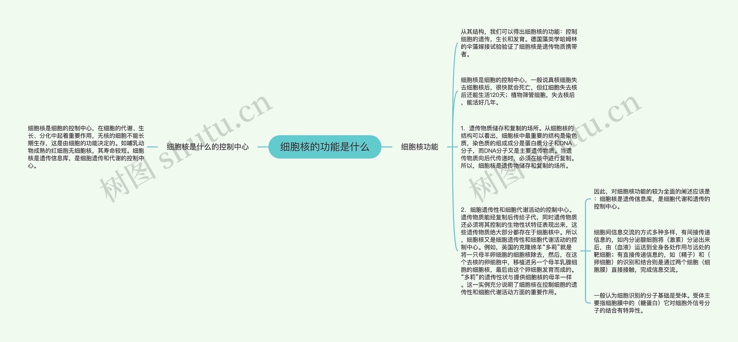 细胞核的功能是什么