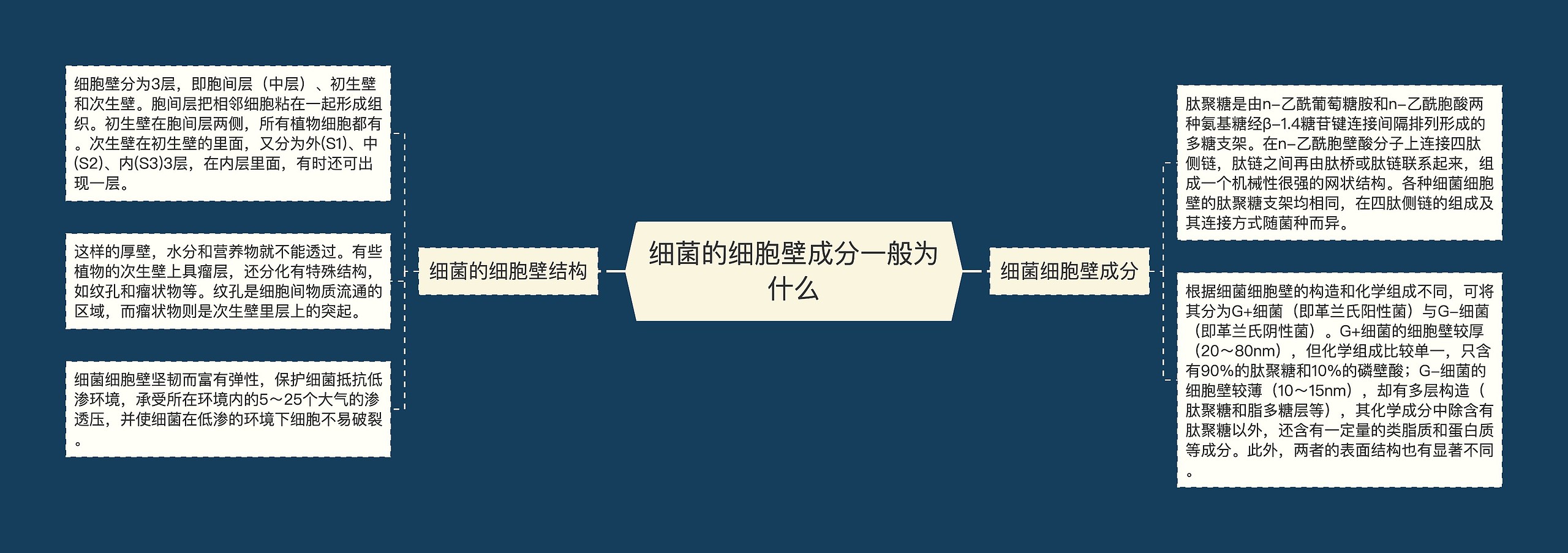 细菌的细胞壁成分一般为什么