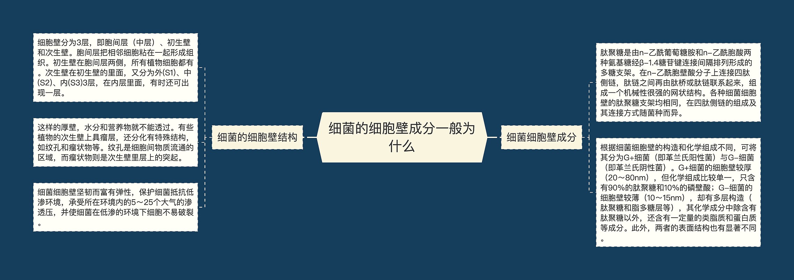 细菌的细胞壁成分一般为什么思维导图