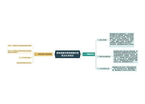 真核细胞和原核细胞的相同点与共同点