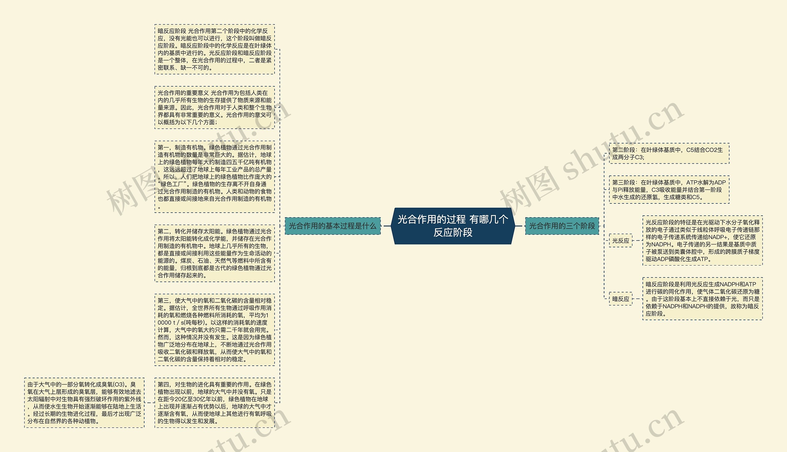 光合作用的过程 有哪几个反应阶段思维导图