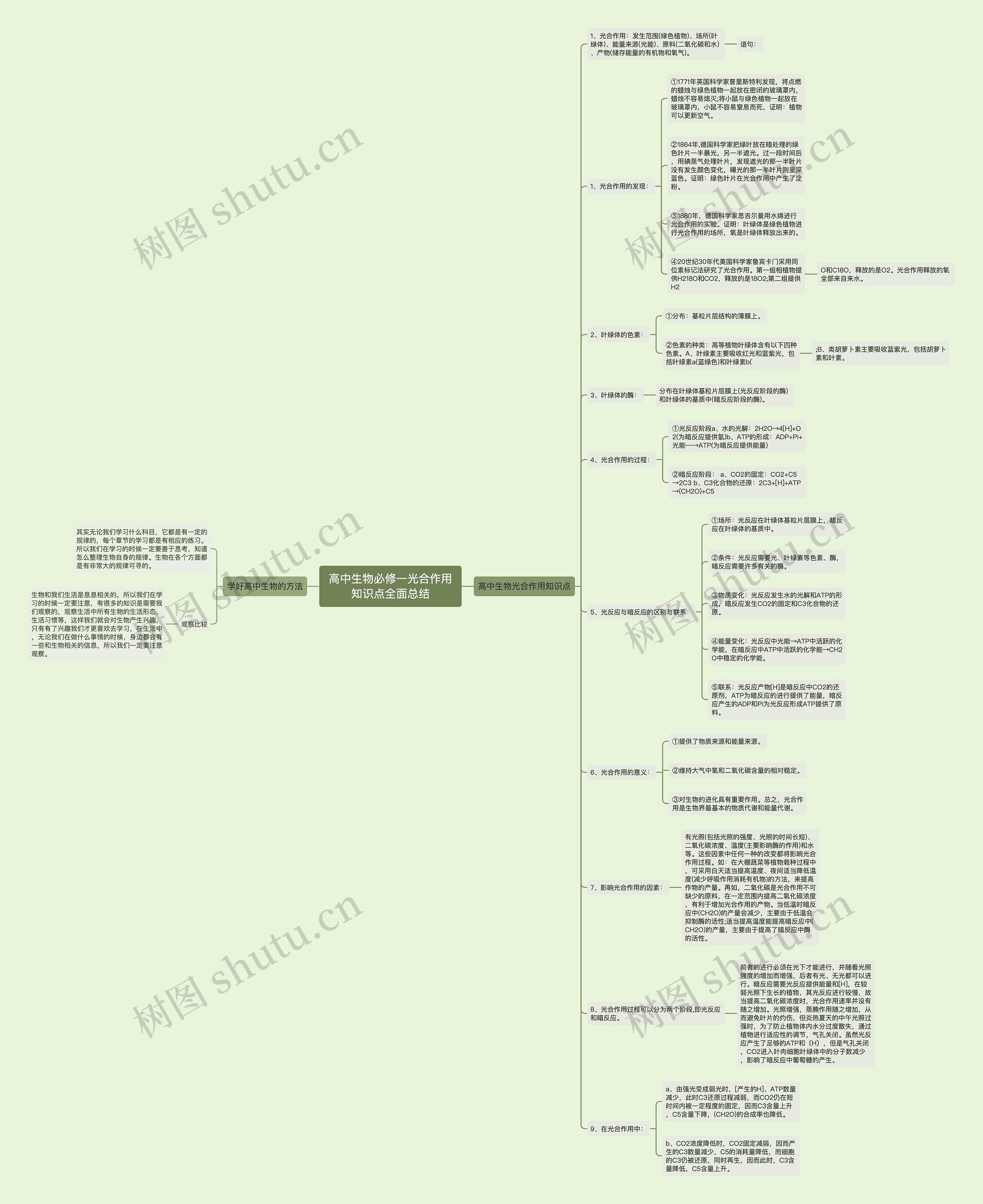 高中生物必修一光合作用知识点全面总结思维导图