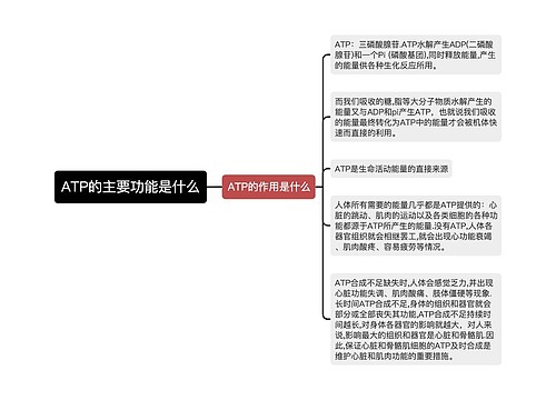 ATP的主要功能是什么