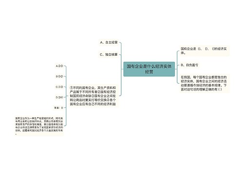 国有企业是什么经济实体经营