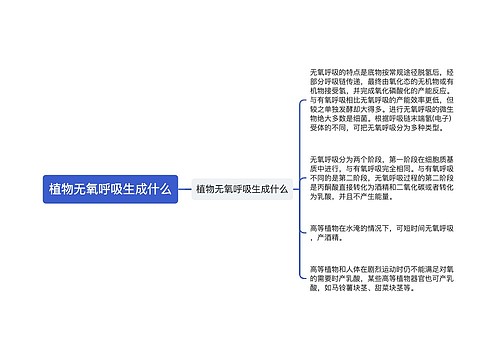 植物无氧呼吸生成什么