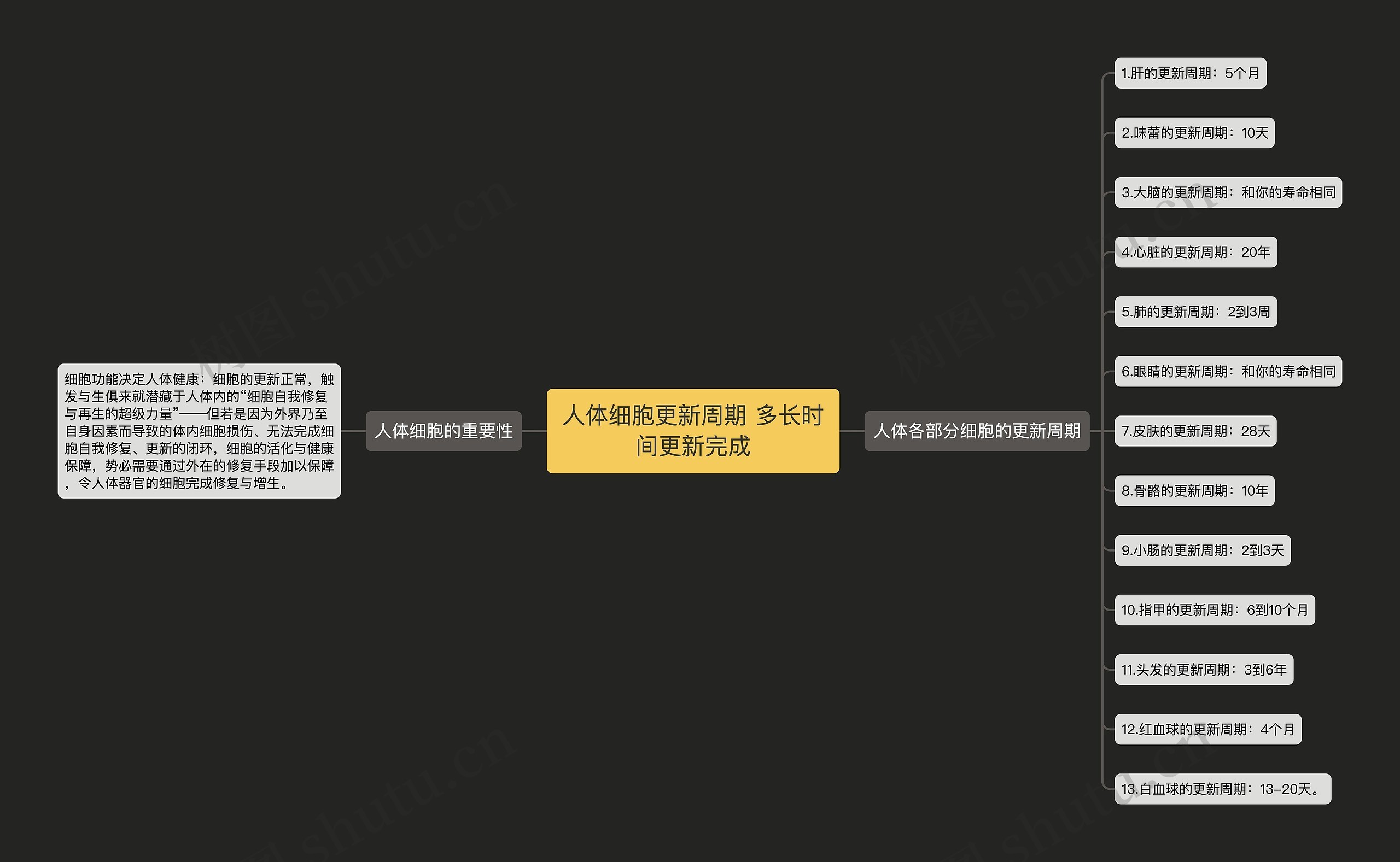 人体细胞更新周期 多长时间更新完成思维导图