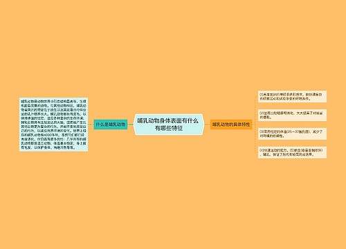 哺乳动物身体表面有什么 有哪些特征
