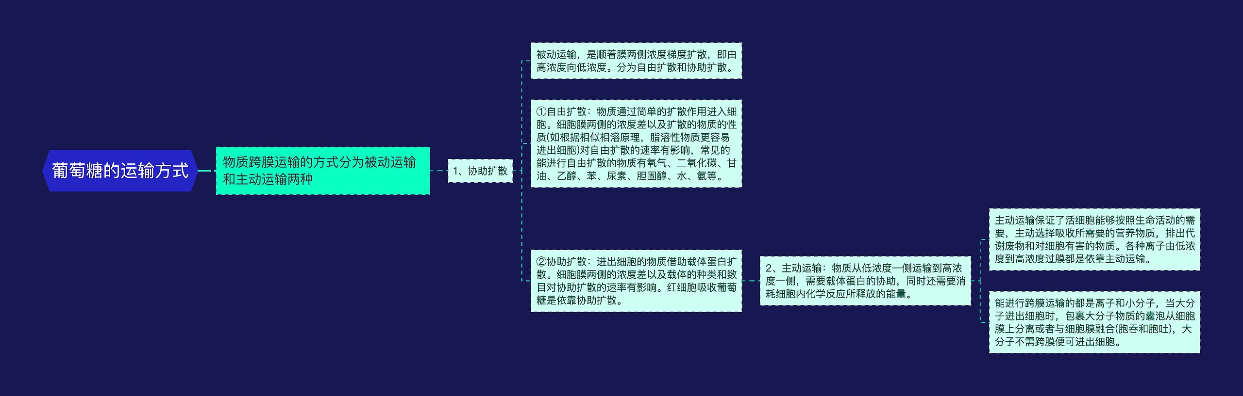 葡萄糖的运输方式思维导图