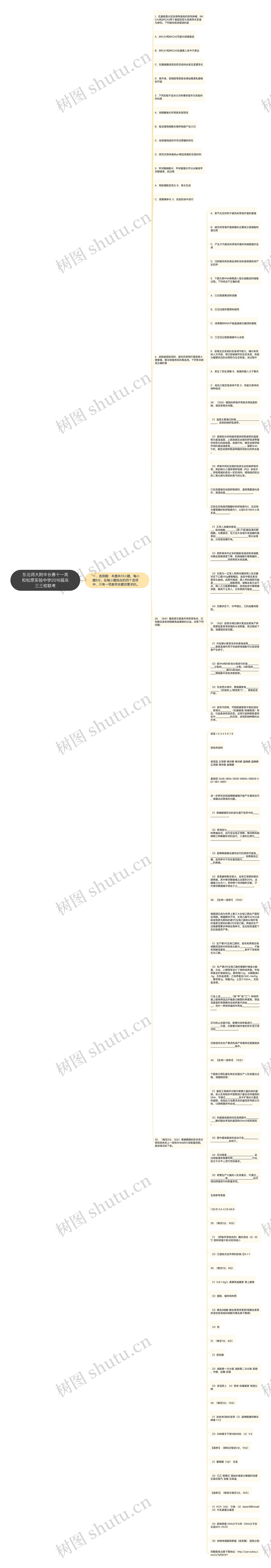 东北师大附中长春十一高和松原实验中学2016届高三三校联考