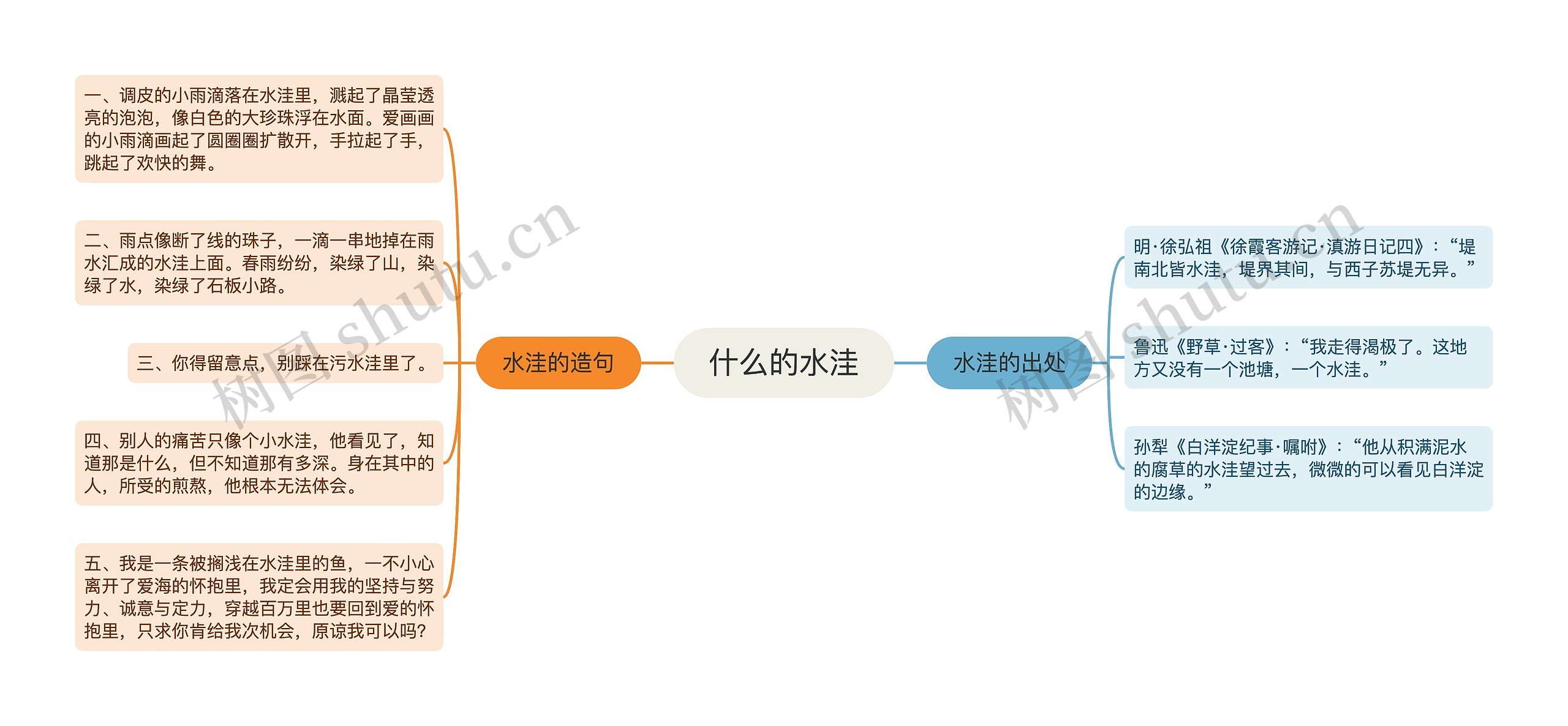 什么的水洼