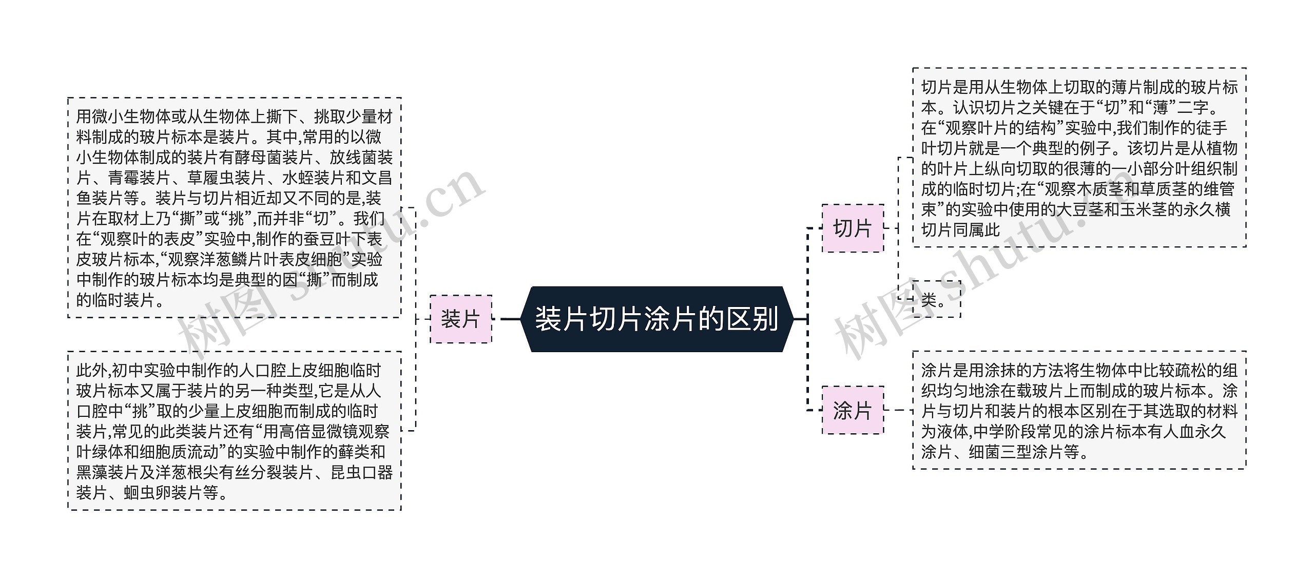 装片切片涂片的区别思维导图