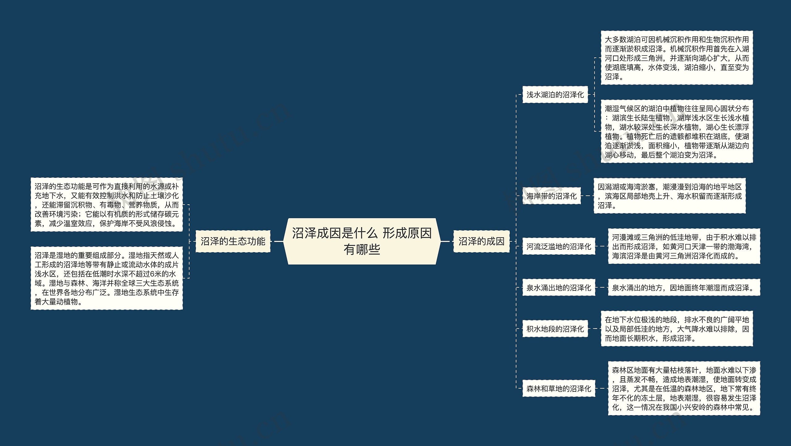 沼泽成因是什么 形成原因有哪些思维导图