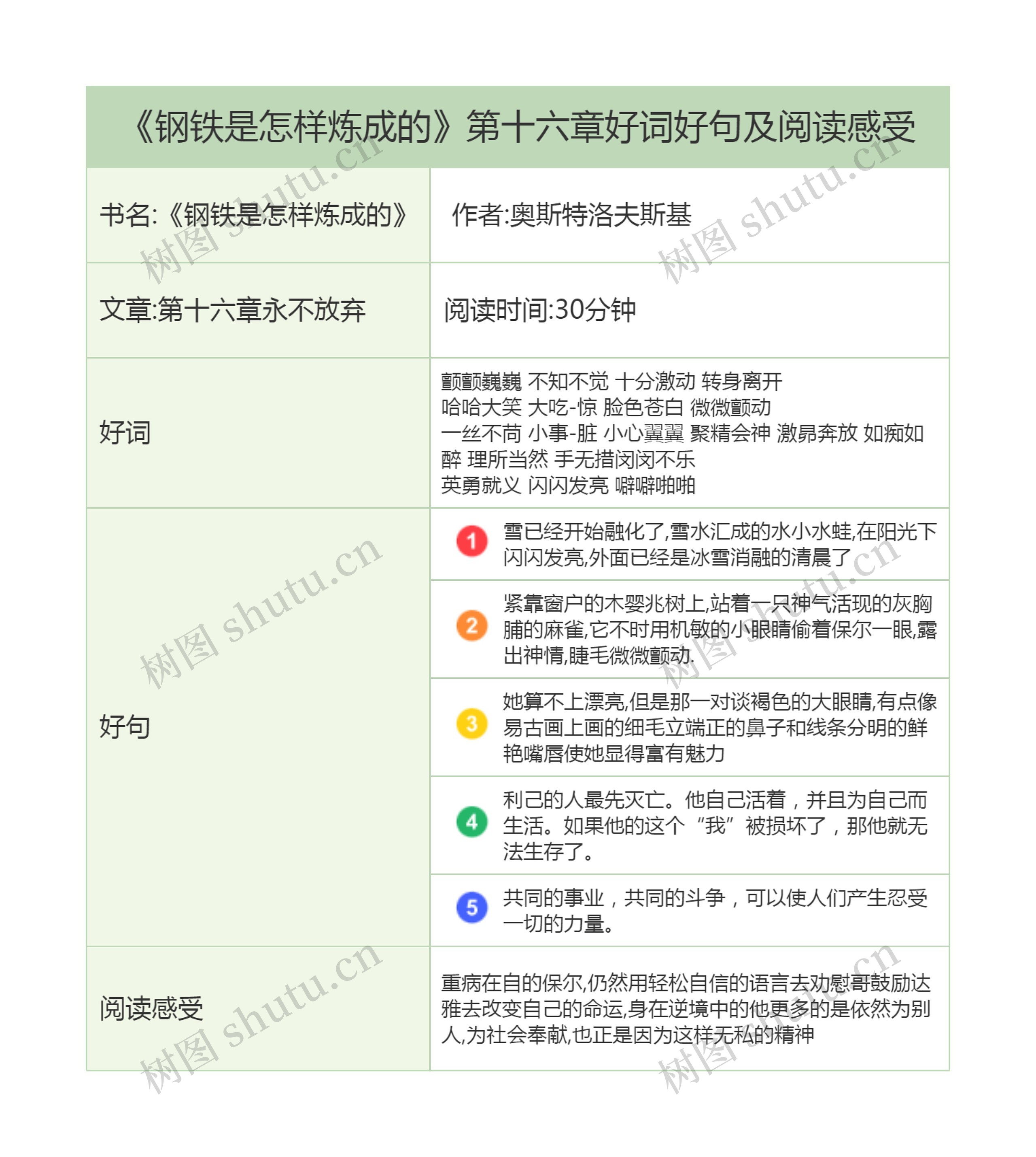 《钢铁是怎样炼成的》第十六章好词好句及阅读感受