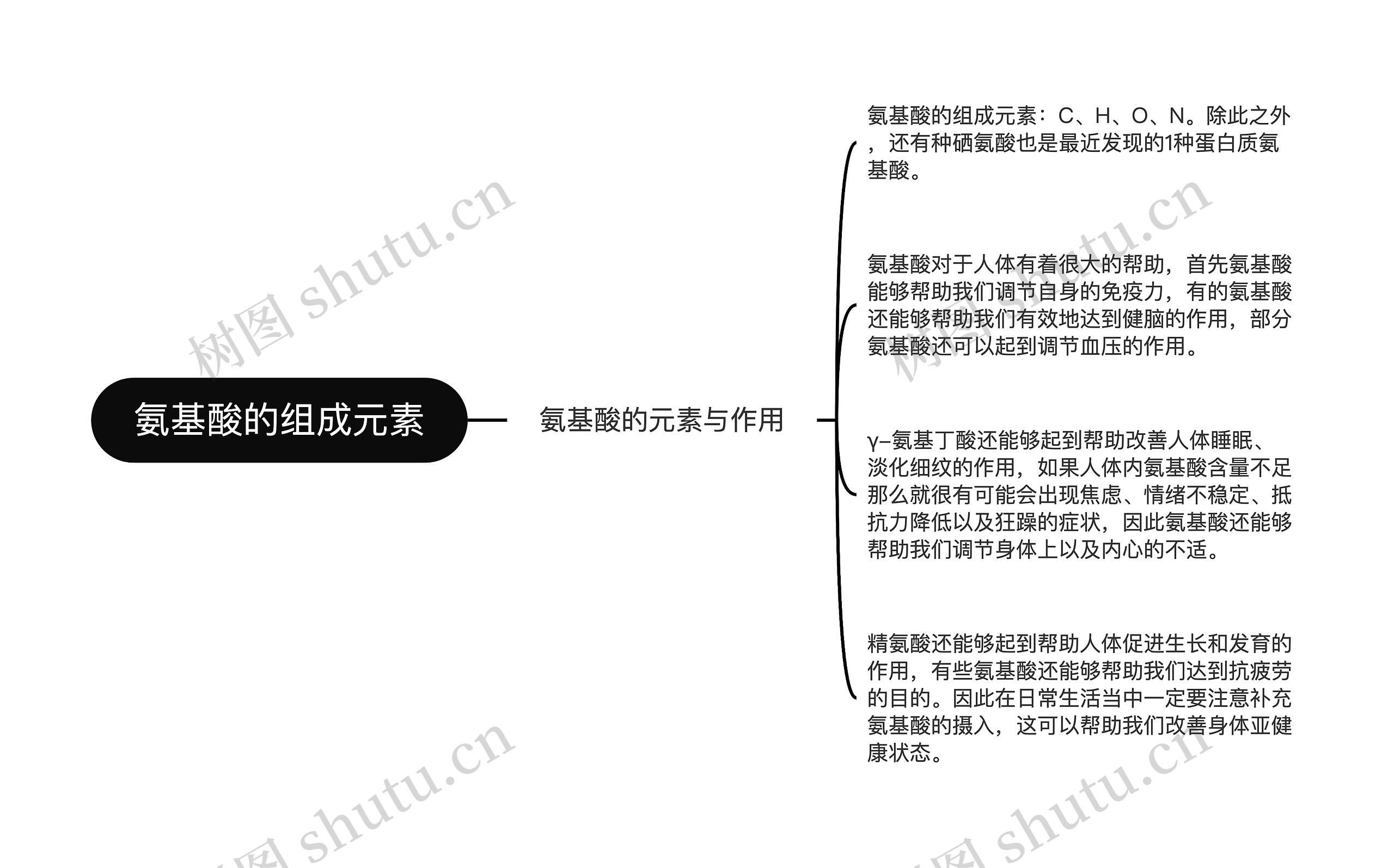 氨基酸的组成元素