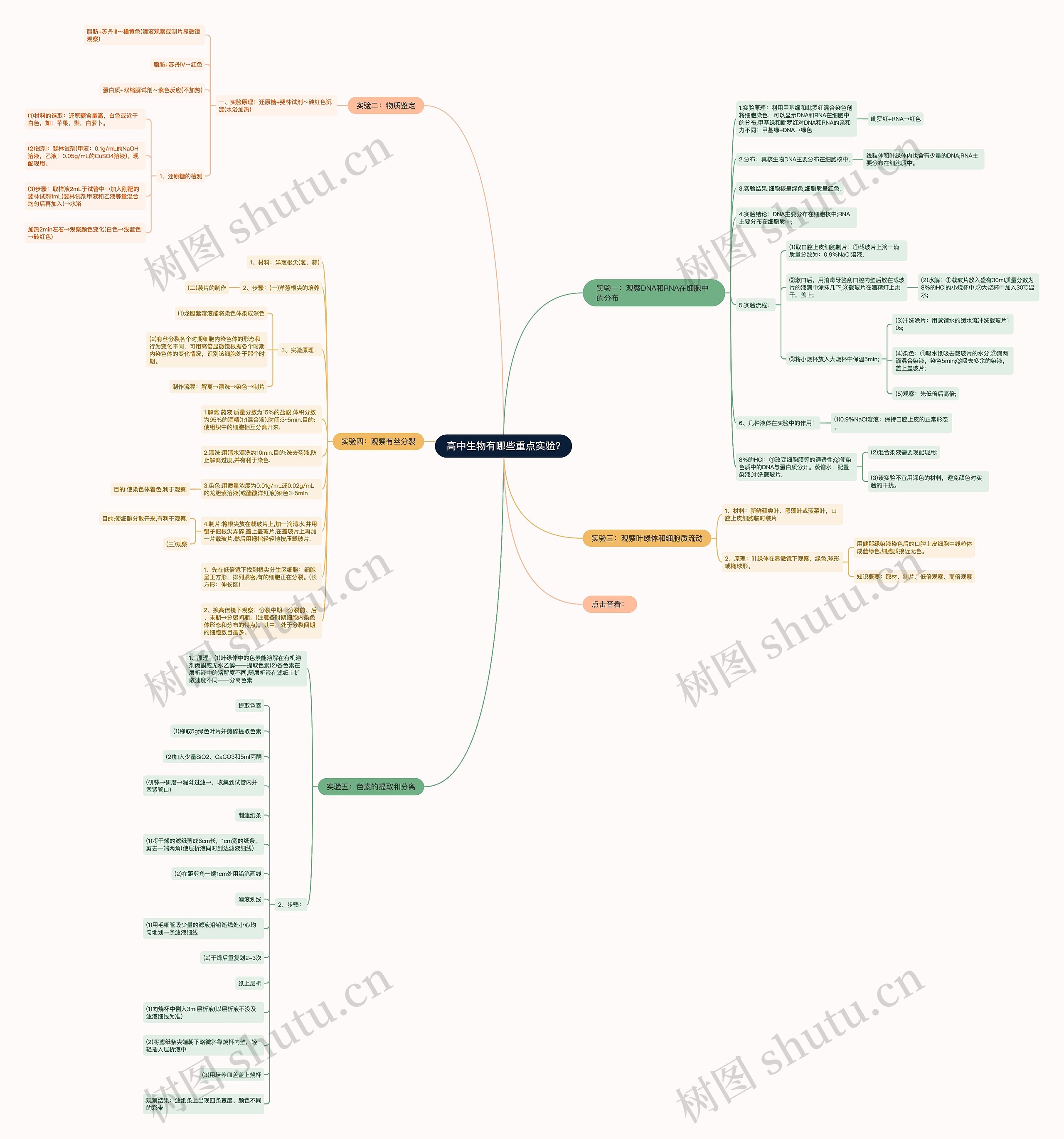 高中生物有哪些重点实验?思维导图