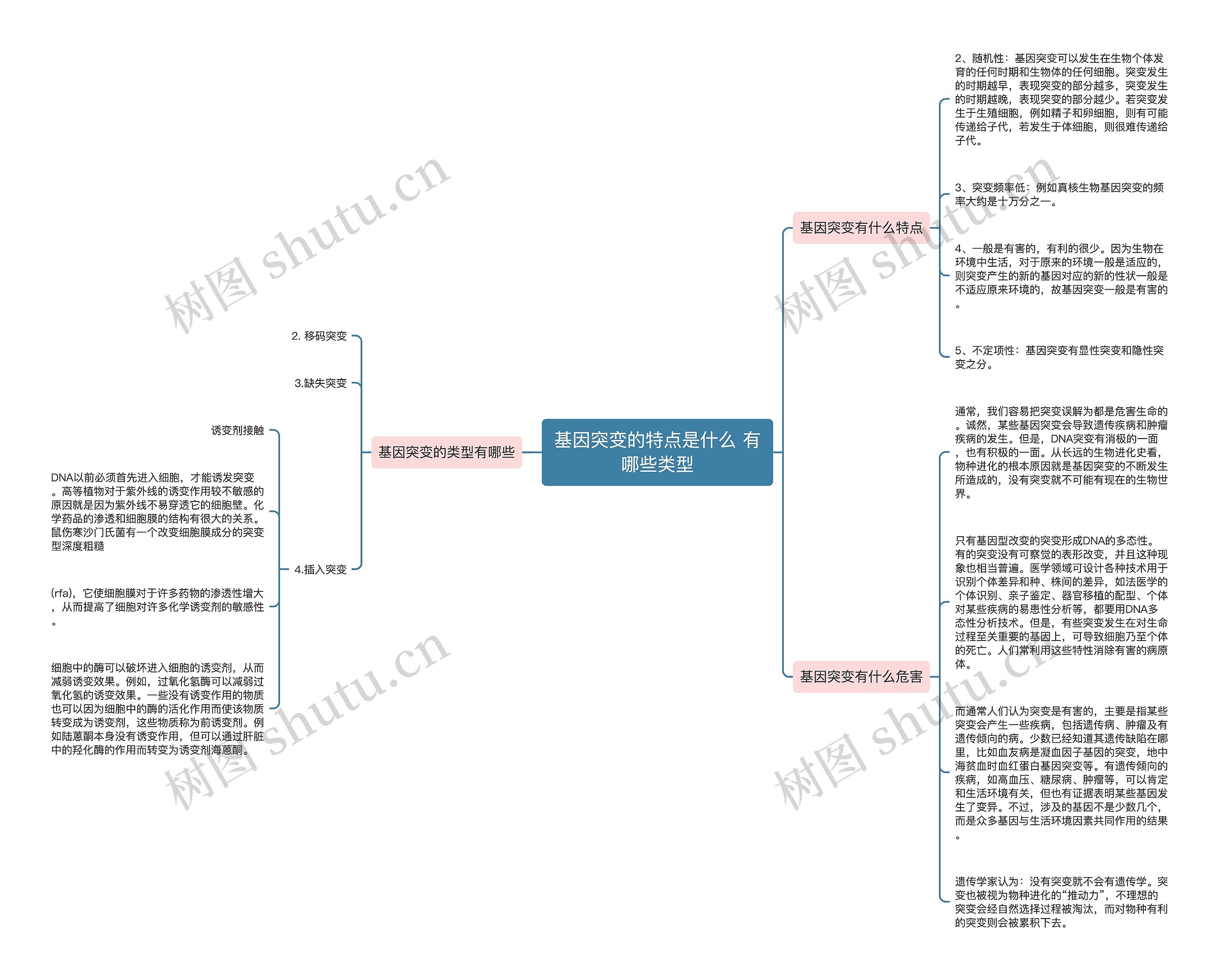 基因突变的特点是什么 有哪些类型思维导图