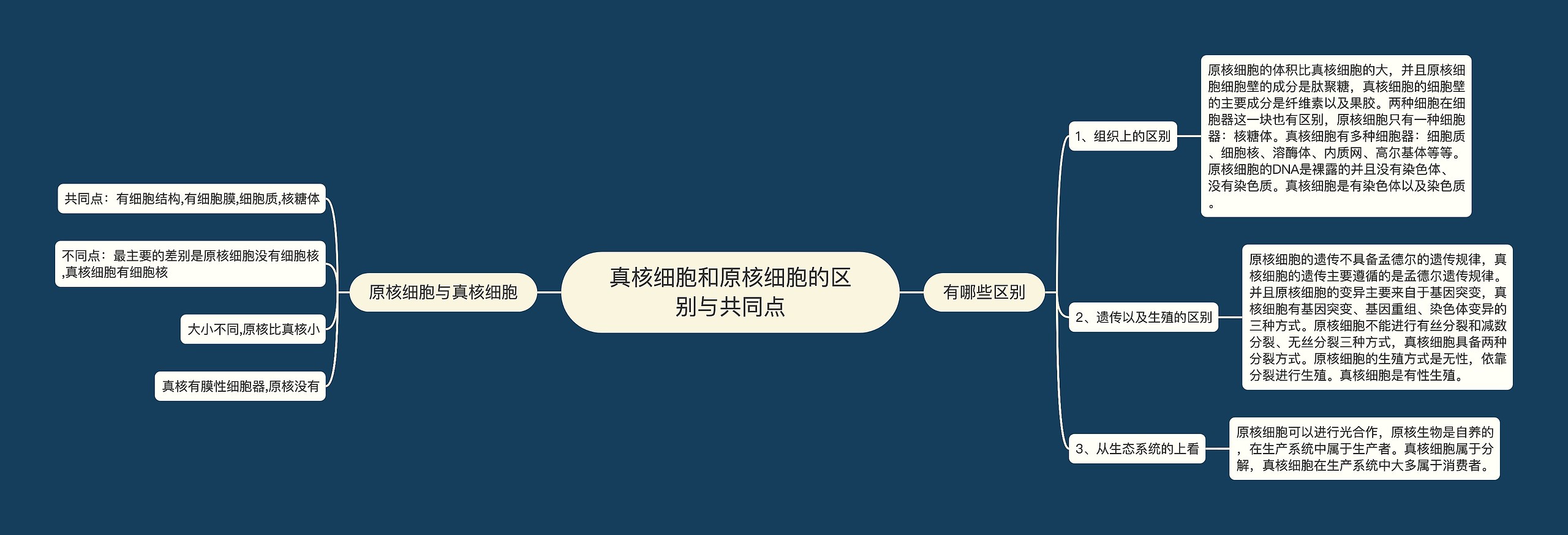 真核细胞和原核细胞的区别与共同点思维导图